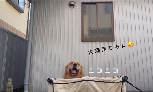 散歩を楽する方法