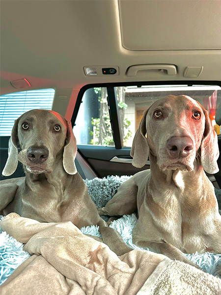 ルピくんとロアくん