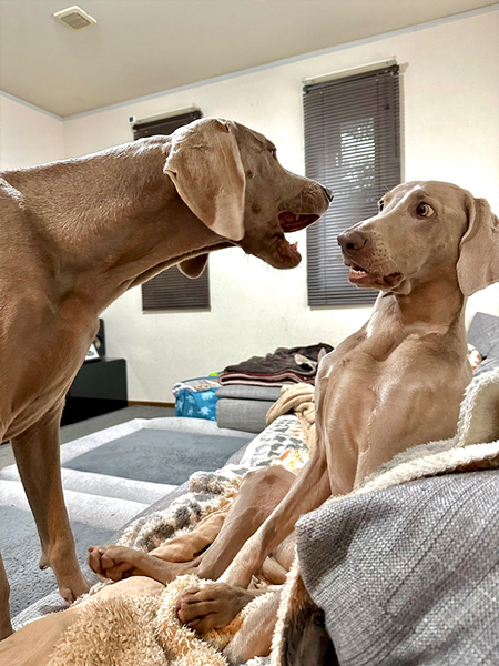 ルピくんとロアくん