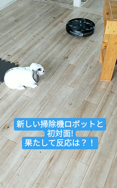 掃除機ロボットと初対面