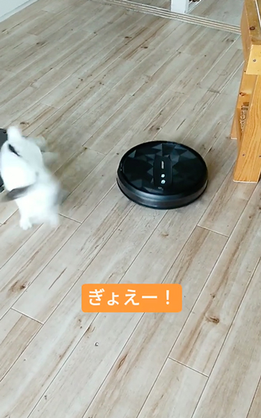 掃除機ロボットと初対面