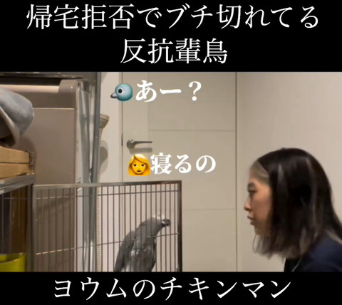 寝るのテロップ