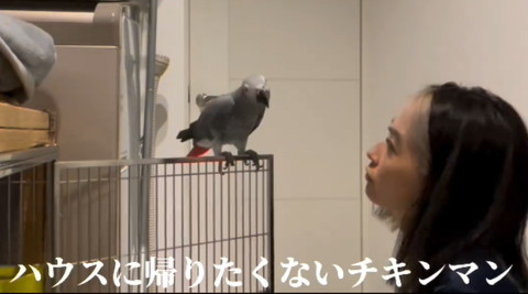 ハウスに帰りたくない