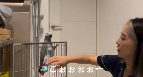 ごぉぉぉぉー