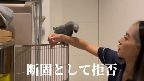 断固として拒否
