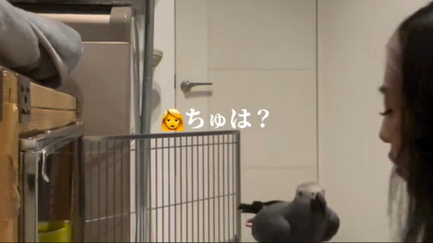 ちゅは