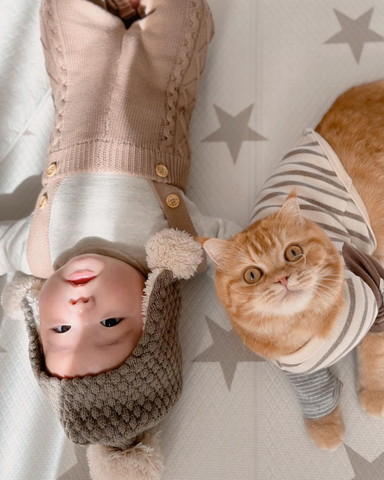 カメラ目線猫と赤ちゃん