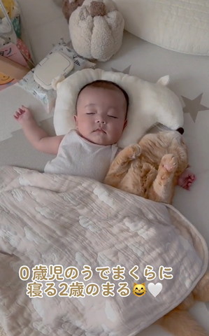 寝てる赤ちゃんと猫正面