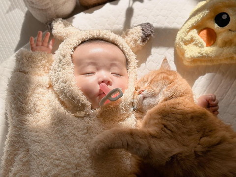 赤ちゃんに抱きつく猫