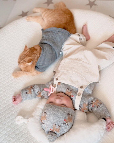洋服着てる猫と赤ちゃん寝てる
