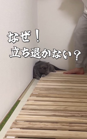 なぜ立ち退かない