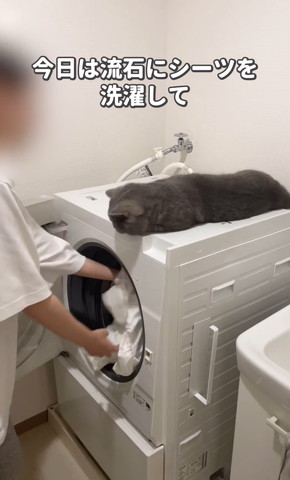 今日はさすがにシーツを洗濯して