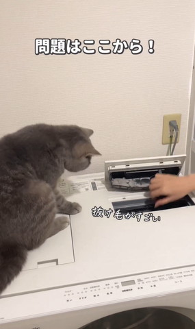 抜け毛がすごい