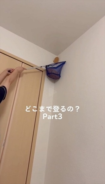 どこまで登るの