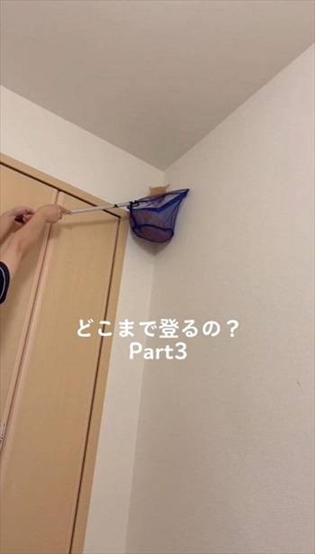 どこまで登るの