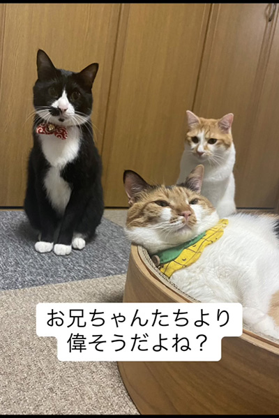 お兄ちゃんたちより