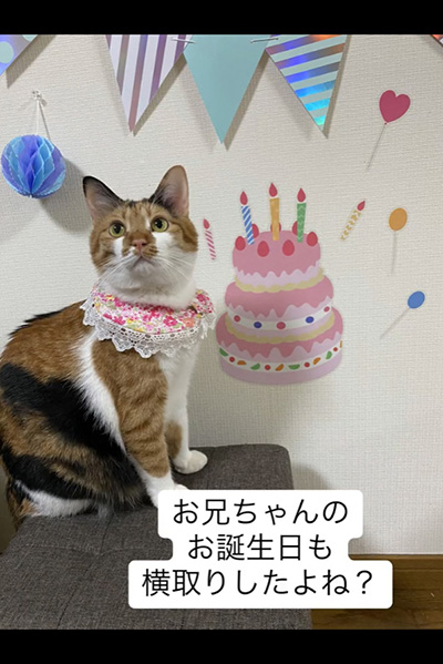 お兄ちゃんの誕生