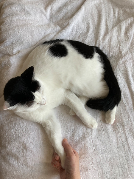 布団を独り占め