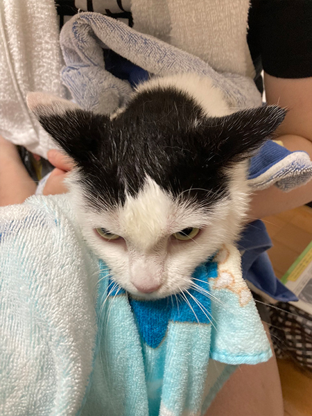 洗われてガチおこ