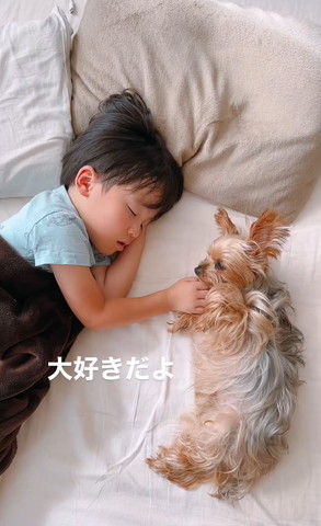 息子に添い寝するワンコ