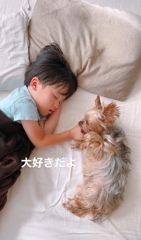 息子の手なめてるワンコ舌見える