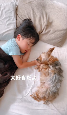 息子の手なめてるワンコ