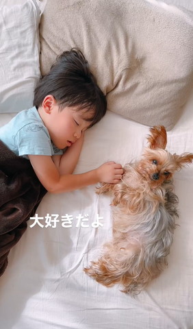 息子に添い寝してうさぎ耳になってる