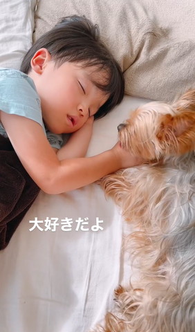 息子の手をなめてるワンコアップ