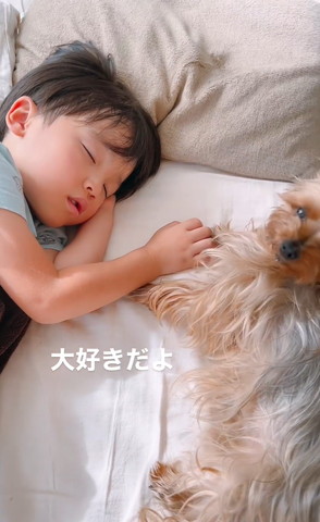 振り返るワンコ