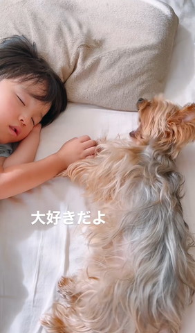 あくびするワンコ