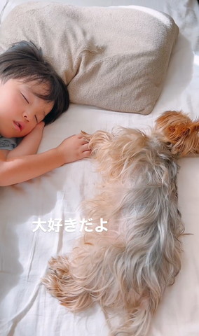 息子と手つないで寝てるワンコ