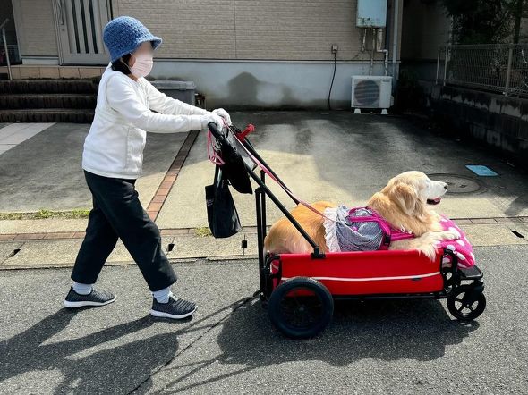 あーちゃんとぺーちゃん