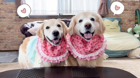 あーちゃんとぺーちゃん