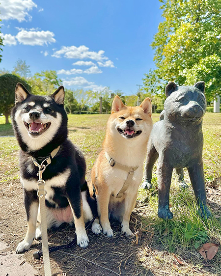 青空のもと笑顔のふたり