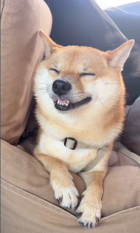 目を細めて笑顔ののんちゃん