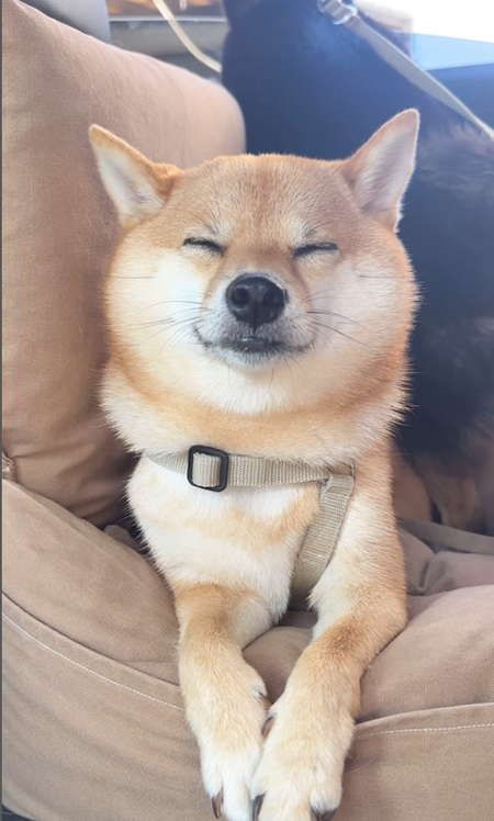 目つぶりのんちゃん