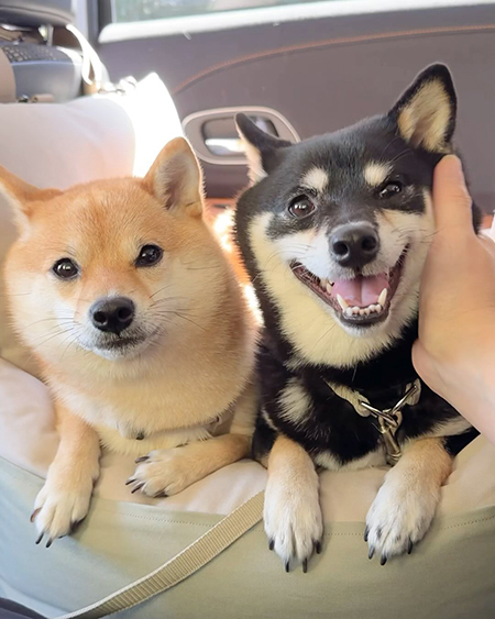 ふたりでドライブ