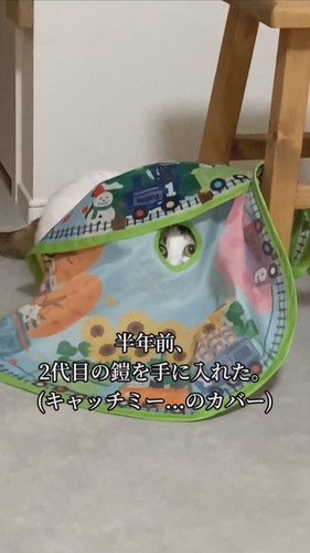 ヨロイをまとった心福ちゃん