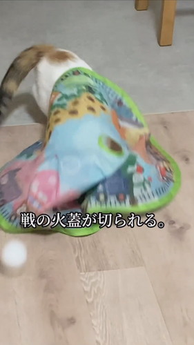 ヨロイをまとった心福ちゃん