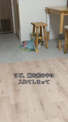 ヨロイをまとった心福ちゃん