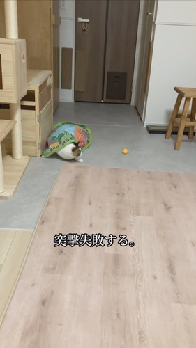 ヨロイをまとった心福ちゃん