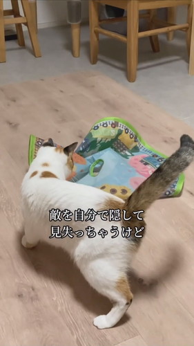 ヨロイをまとった心福ちゃん