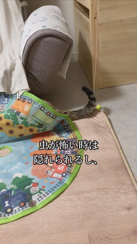 ヨロイをまとった心福ちゃん