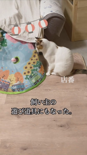 ヨロイをまとった心福ちゃん