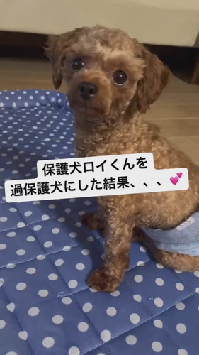 ママの手をわしづかみ！