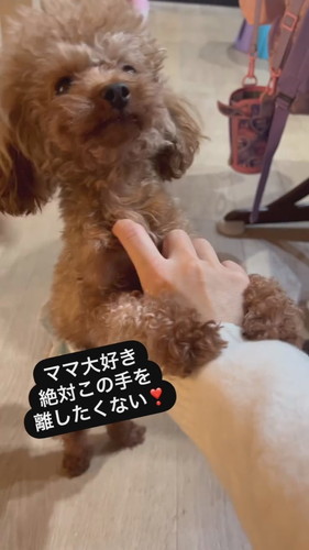 ママの手をわしづかみ！