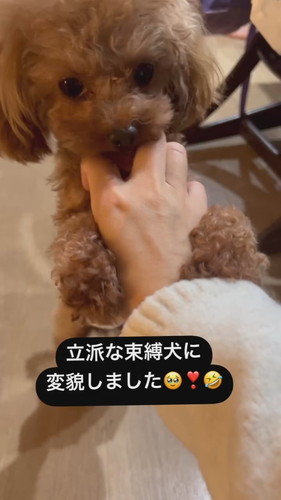 ママの手をわしづかみ！