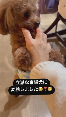 ママの手をわしづかみ！