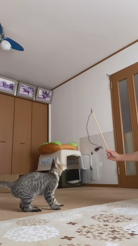 運動神経抜群のさくらくん