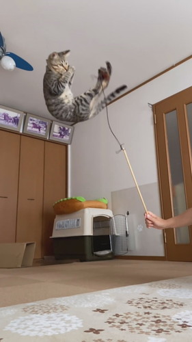 運動神経抜群のさくらくん